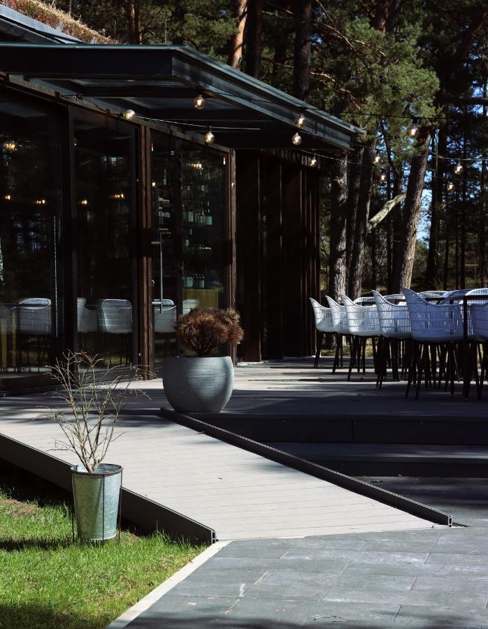 Albatross Getaway By The Sea, Spa And Forest With A Terrace Ķesterciems Zewnętrze zdjęcie